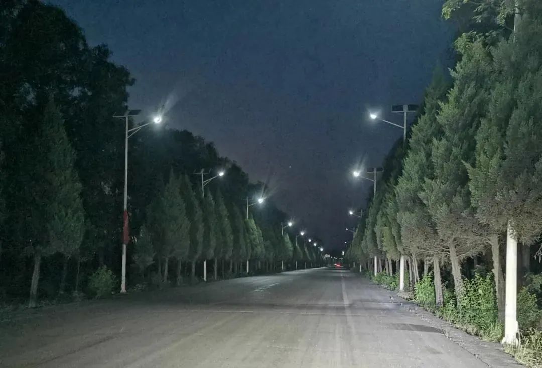 亮了！野川百余盏路灯“上岗”护平安