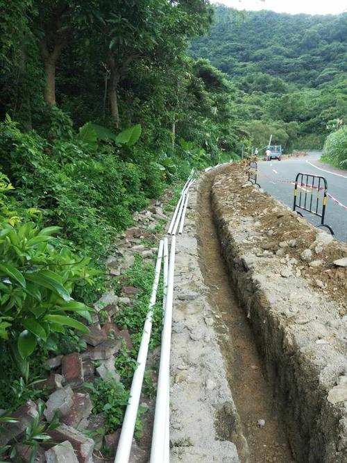 仙桐路和梧桐山南路路灯照明完善工程.2017年6月12日,施工进度