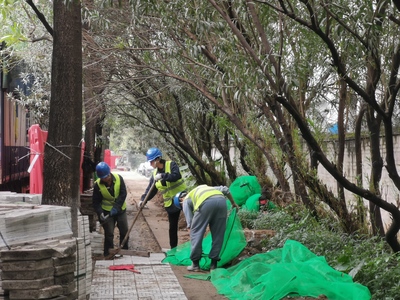 市民出行路更亮!禅城一路灯亮化民生工程启动